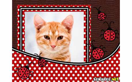 Moldura - Joaninhas Vermelhas