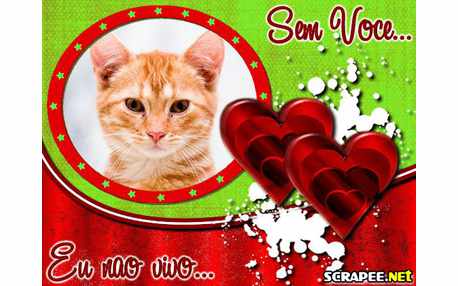 Moldura - Nao Vivo Sem Voce