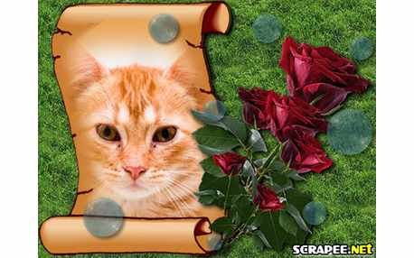 Moldura - Rosas Vermelhas