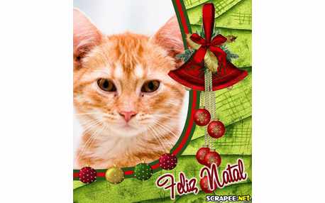 Moldura - Feliz Natal
