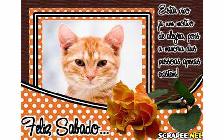 Moldura - Feliz Sabado