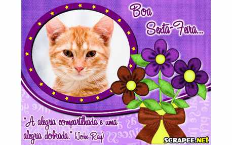 Moldura - Frase Para Sexta Feira