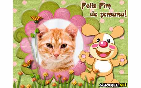 Moldura - Felicidade Ao Extremo