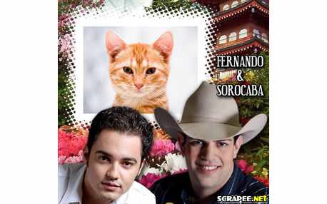 Moldura - Fernando E Sorocaba