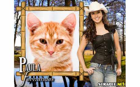 Moldura - Paula Fernandes