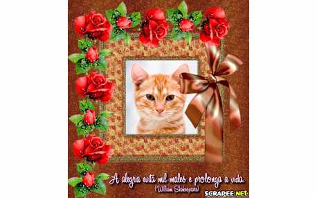 Moldura - Evitando Males