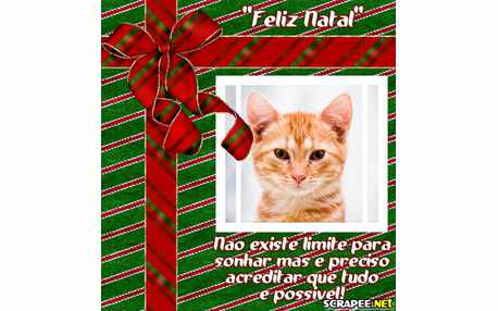 Moldura - Mensagem Natalina