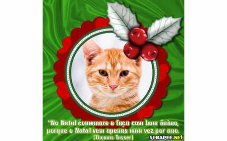 Moldura - Natal 2011