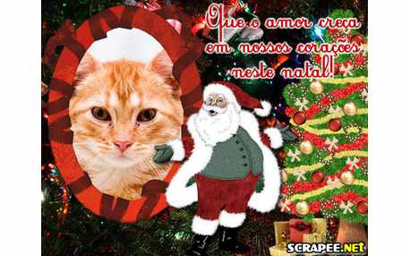 Moldura - Que O Amor Creca No Natal