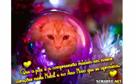 Moldura - Bolinha De Natal