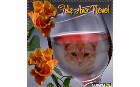 Moldura - Feliz Ano Que Se Anicia