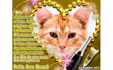 Moldura - Vida Nova Em 2011