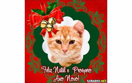 Moldura - O Natal Chegou