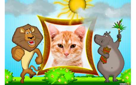 Moldura - Leao Alex E Gloria Do Filme Madagascar