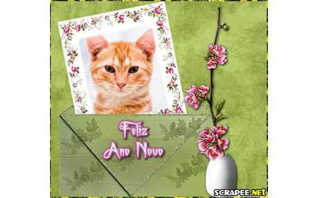 Moldura - Cartao De Ano Novo