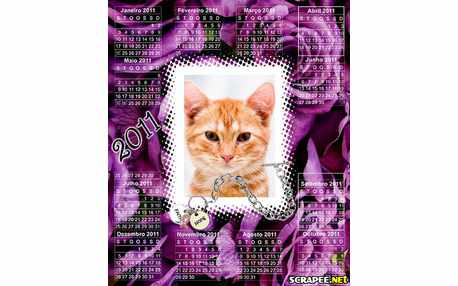 Moldura - Folhinha 2011