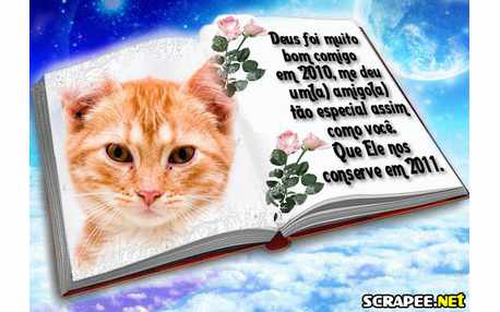 Moldura - Contrato Para 2011