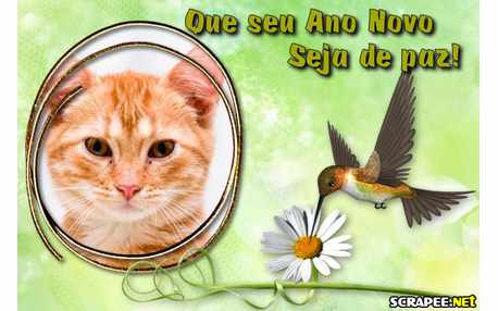 Moldura - Feliz Ano Novo