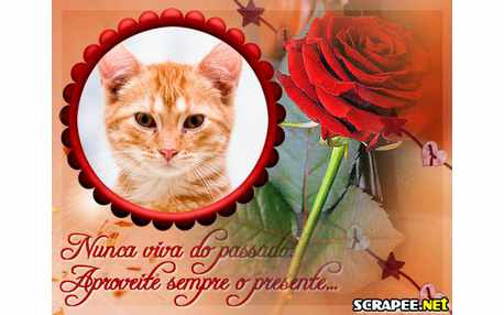 Moldura - Viva O Presente