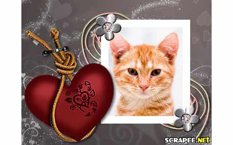 Moldura - Moldura De Coracao