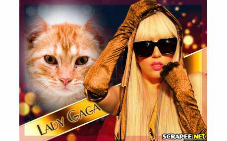Moldura - Lady Gaga