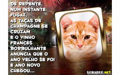 Moldura - Chegou O Ano Novo