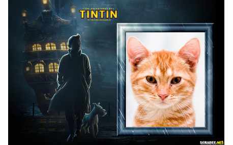 Moldura - Tintin Filme