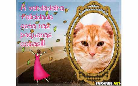 Moldura - Felicidade Verdadeira