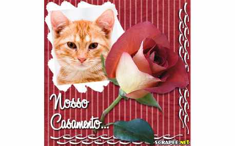 Moldura - Festa De Casamento