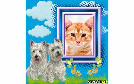 Moldura - Cachorro Maltes