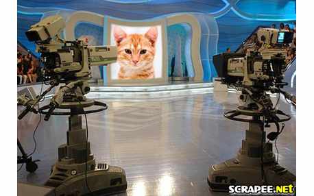 Moldura - Camera Acao