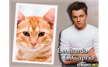 Moldura - Leonardo Dicaprio