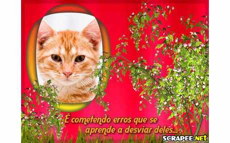 Moldura - Nao Cometendo Erros