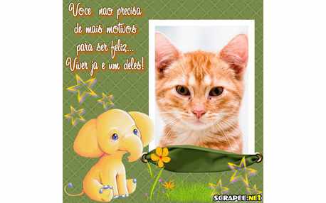 Moldura - Motivos De Ser Feliz