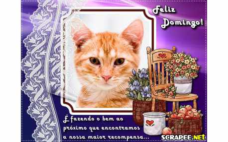 Moldura - Domingo Feliz