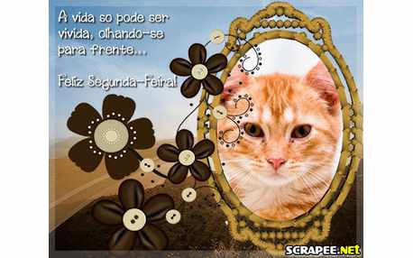 Moldura - Segunda Feira Alegre