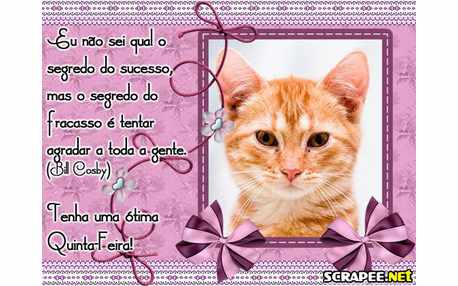 Moldura - Quinta Feira De Sucesso