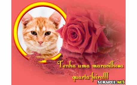 Moldura - Quarta Feira Maravilhhosa