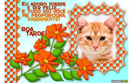 Moldura - Proporcionando Felicidade