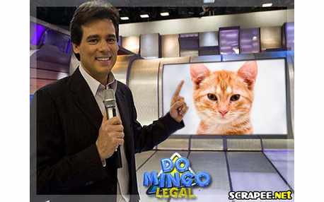 Moldura - Domingo Legal