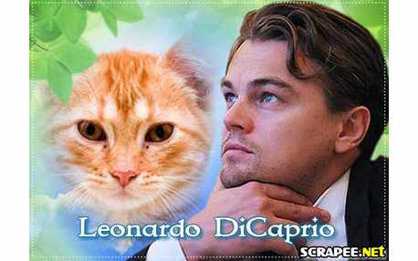 Moldura - Leonardo Di Caprio