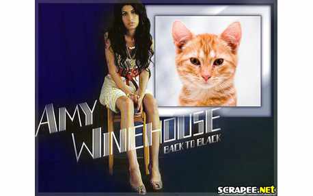 Moldura - Amy Winehouse