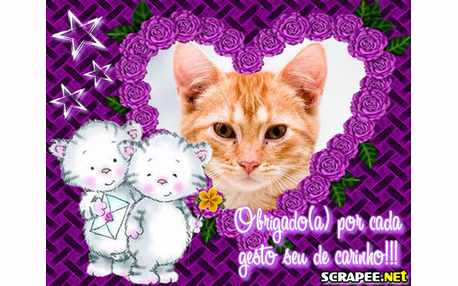 Moldura - Obrigado Por Tudo