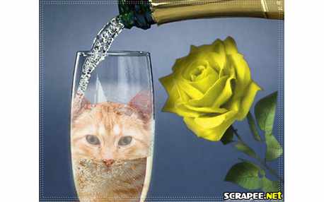 Moldura - Taca De Champagne