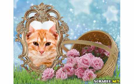 Moldura - Cesta De Flores