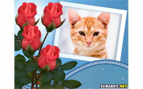 Moldura - Botoes De Rosa