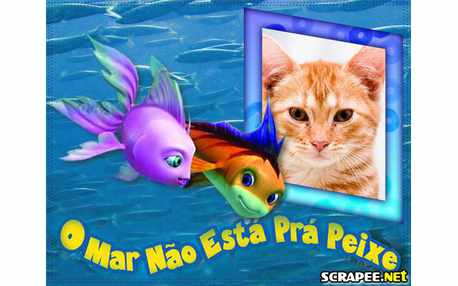 Moldura - O Mar Nao Esta Pra Peixe