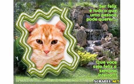 Moldura - Ser Feliz Sempre