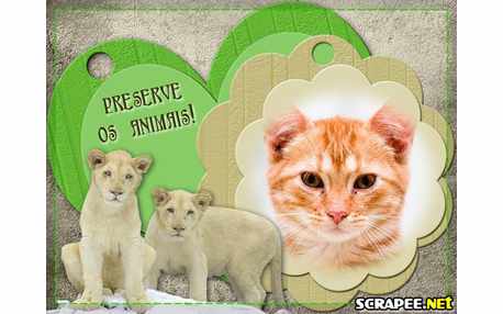Moldura - Preserve Os Animais