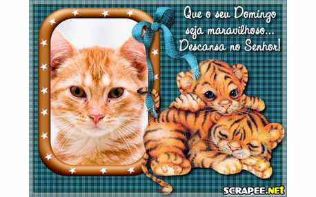 Moldura - Descanse Aos Domingos